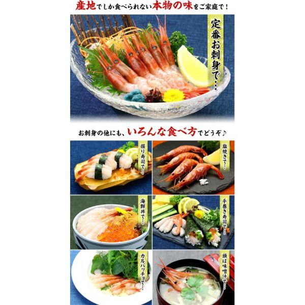  Japan sea. . sashimi northern shrimp 500g *. keep *. less selection un- possible ........ sea .ama shrimp 