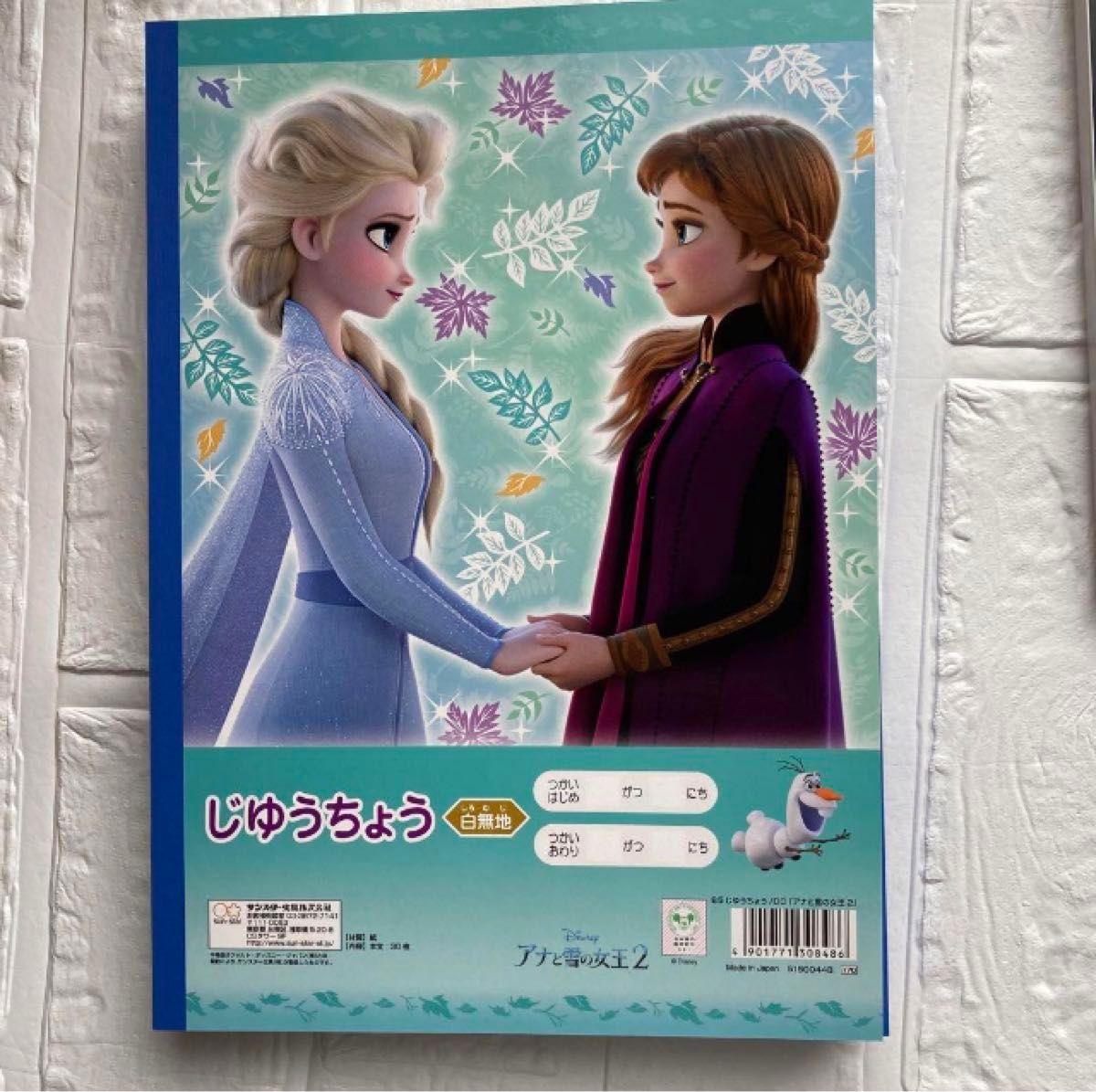 【10冊】自由帳　アナと雪の女王