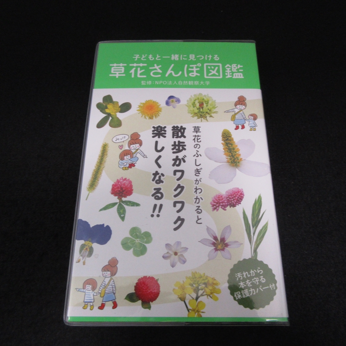 本 『子どもと一緒に見つける 草花さんぽ図鑑』 ■送120円 自然観察大学 （監修） 永岡書店 ★ページ余白端に5㎜ほどの破れ1ヵ所あり○の画像1