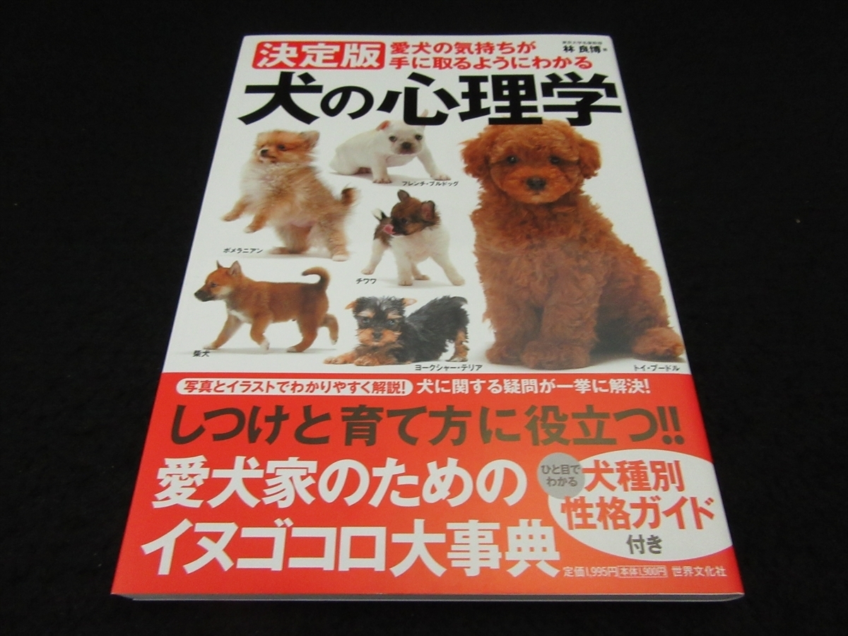  with belt unused super-beauty goods book@[ decision version dog. psychology love dog. feeling . hand . taking . for . understand ] # sending 170 jpy . good .*