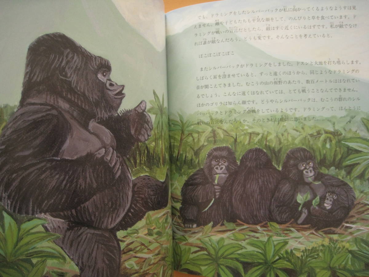 ヤフオク ゴリラが胸をたたくわけ 山極寿一 阿部知暁 たく ヤフオク ゴリラが胸をたたくわけ 山極寿一 阿部知暁 たく