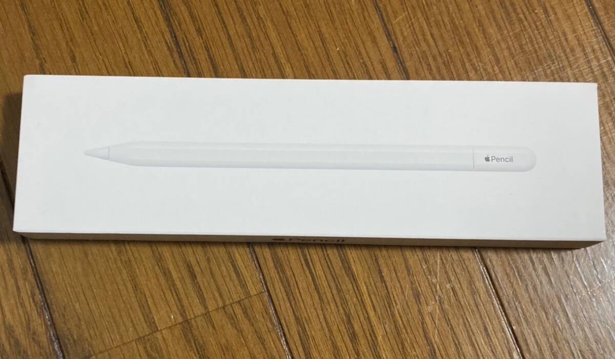 Apple Pencil（USB-C） アップル・ペンシル ほぼ未使用品_画像1