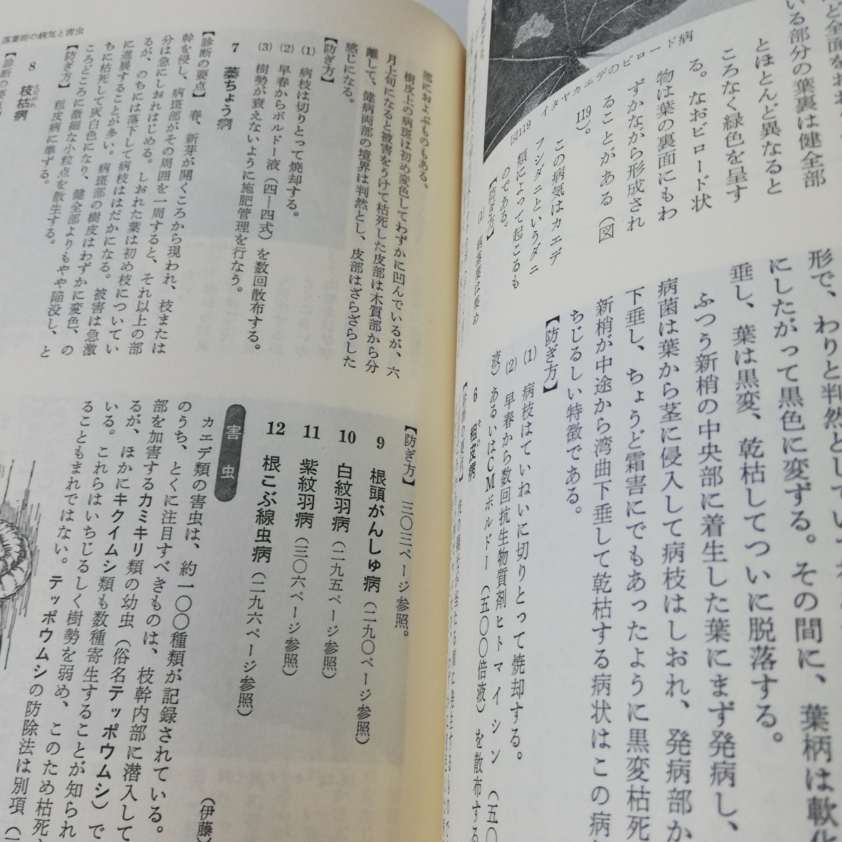 改訂 庭木・花木の病気と害虫 藍野祐久/伊藤一雄/他 誠文堂新光社 昭和48年 初版_画像4