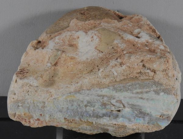 西オーストラリア産オパール　岩石標本　908g　珍石・原石　hg17_画像1