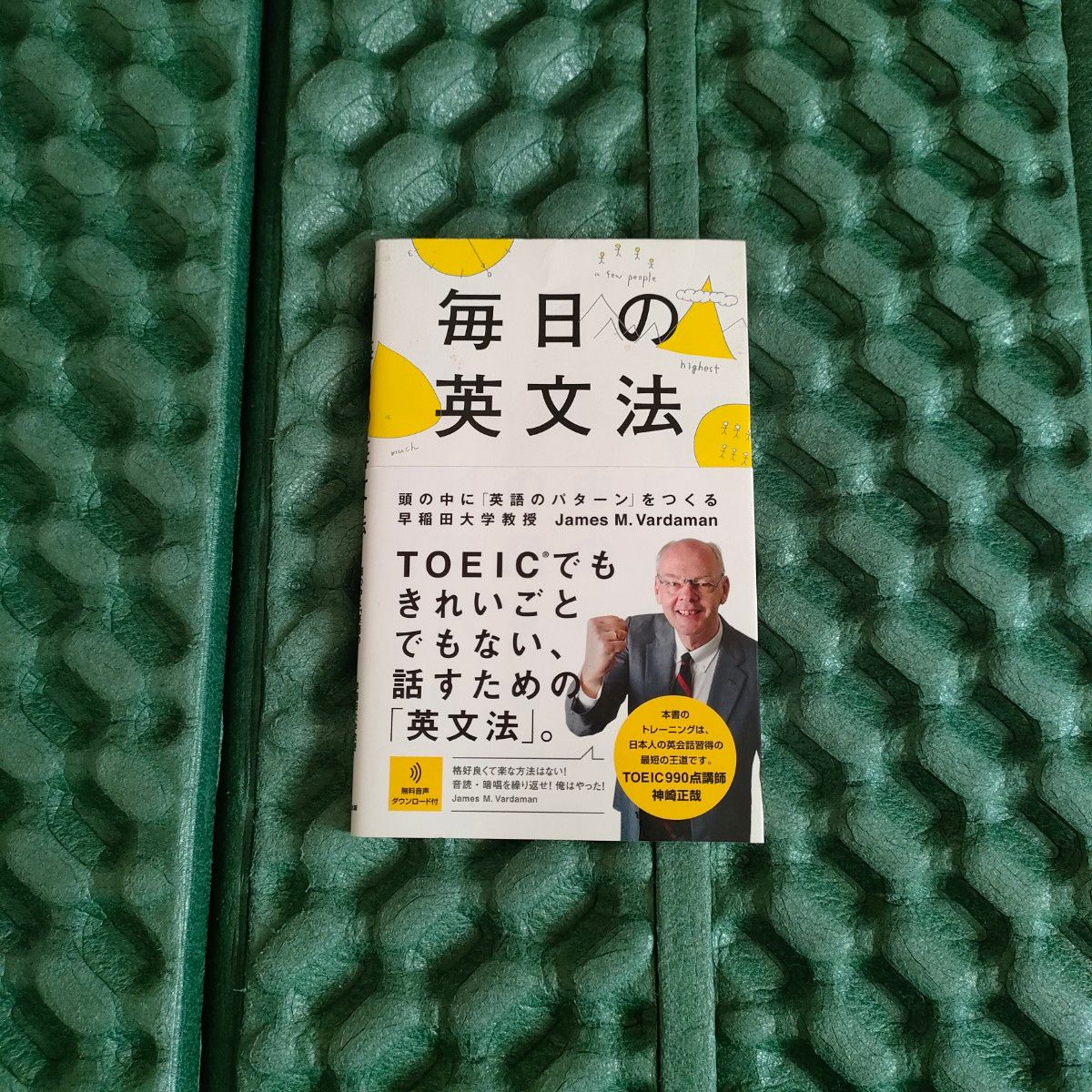 毎日の英文法　頭の中に「英語のパターン」をつくる Ｊａｍｅｓ　Ｍ．Ｖａｒｄａｍａｎ／著　安藤文人／著