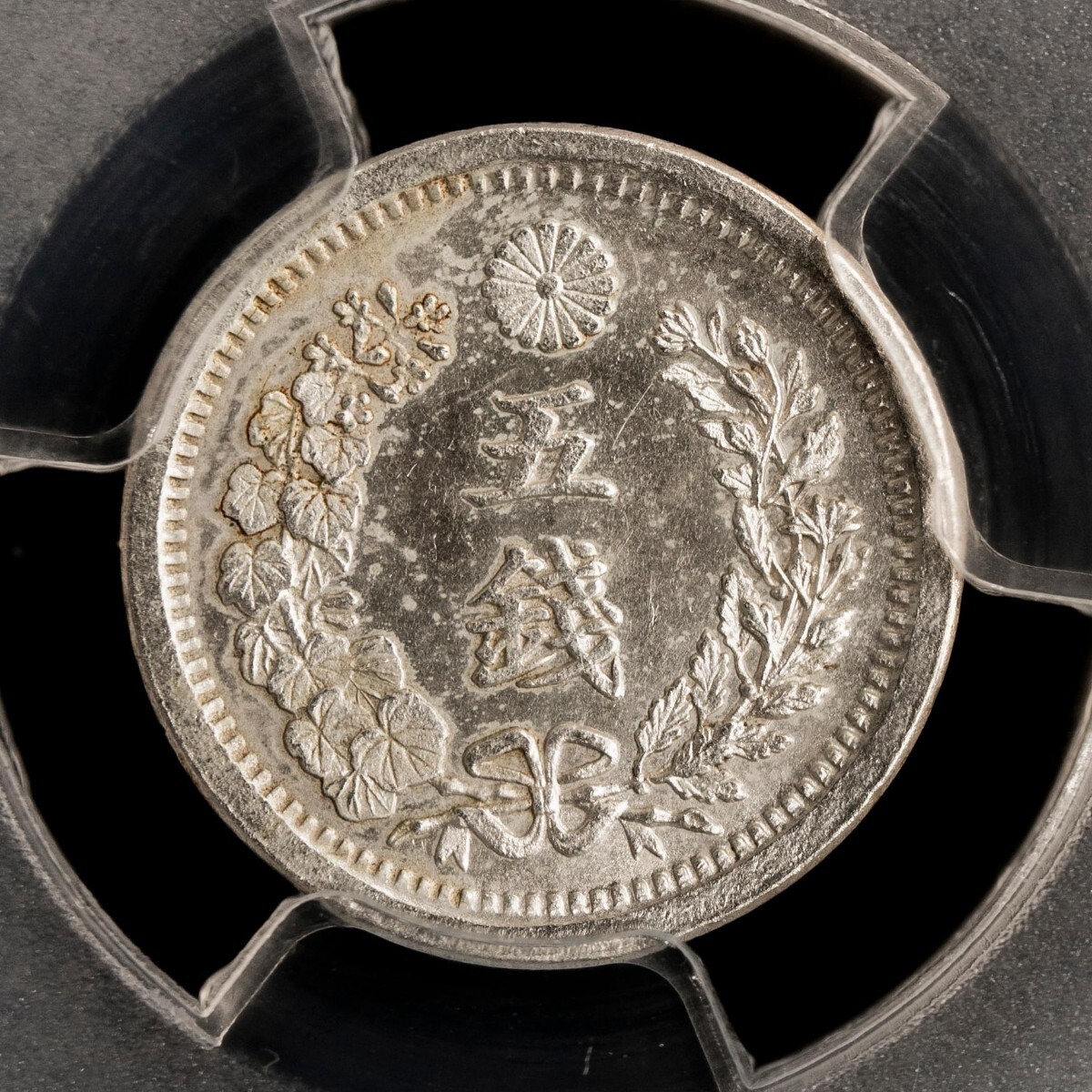 竜五銭銀貨 Dragon 5Sen 明治8年（1875） PCGS鑑定品　アンティークコイン 古銭 NGC_画像2