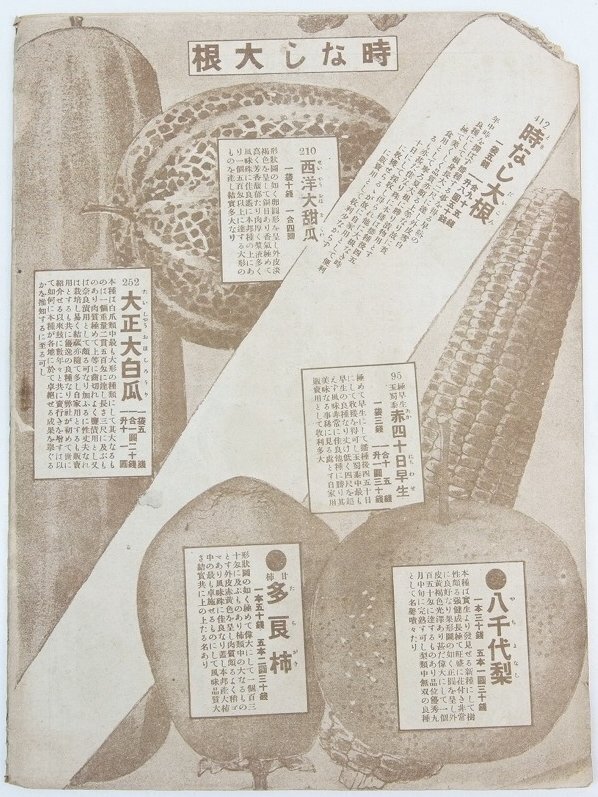  Taisho . year spring. part agriculture . kind seedling fee cost table no. 100 six 10 .. Japan kind seedling corporation *La.04