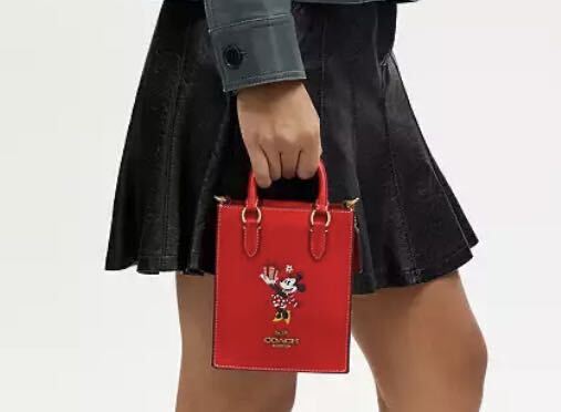 送料込 新品 価82500円 COACH X ディズニー100周年コラボ 送料込 新品 価82500円 COACH X ディズニー100周年コラボ