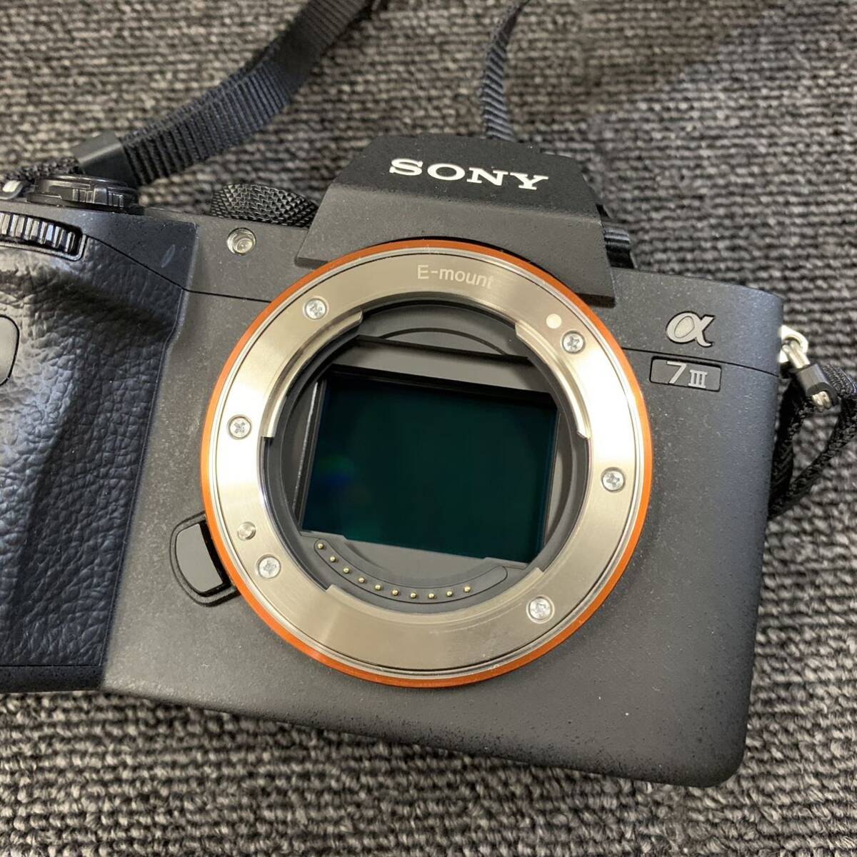 ■【売り切り】SONY（ソニー）ミラーレス一眼カメラ α 7 Ⅲ ILCE-7M3 lens FE 1.8/85 φ67_画像7