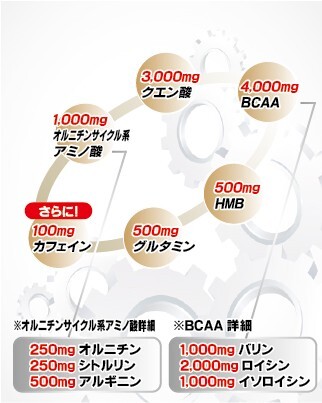 【送料無料】アリスト　スーパーメダリスト9000（500ml用×8袋）【BCAA＋HMB＋クエン酸】