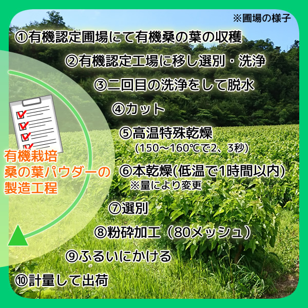 桑の葉パウダー 100g 桑の葉青汁 桑の葉茶 粉末 有機栽培 オーガニック 京都府産 国産 送料無料_画像8