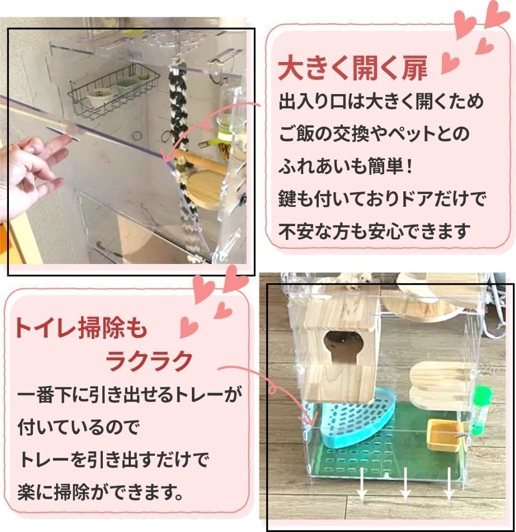 フクロモモンガ アクリルルーム 特大 アクリル ケージ 小動物 フクロモモンガ アクリルルーム 特大 アクリル ケージ 小動物