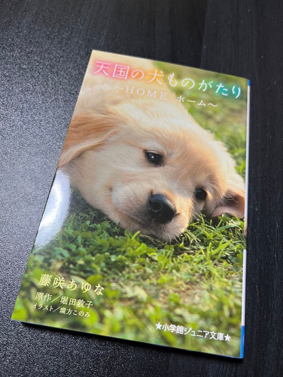 天国の犬ものがたり〜HOMEホーム〜　小学館ジュニア文庫