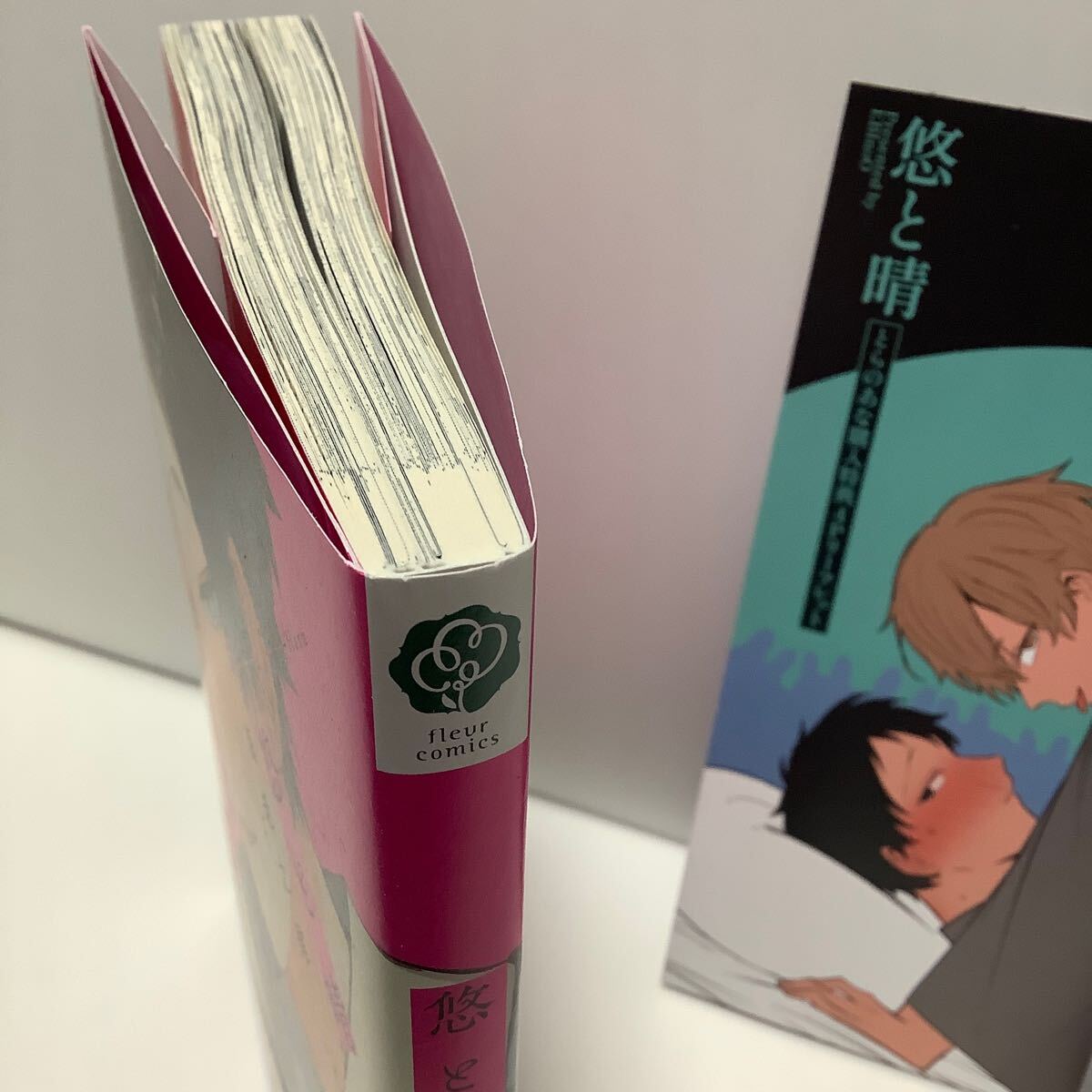 海老之尾 /悠と晴 /とらのあなリーフレット、小冊子有りの画像3