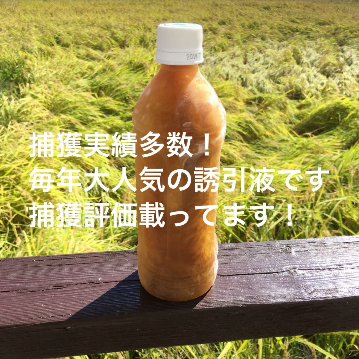 カラー写真説明書付き！ 日本蜜蜂誘引液500ml ミツバチ 巣箱 蜜蜂 分蜂 蜜蝋 ルアー 捕獲  誘引剤　金稜辺　キンリョウヘン