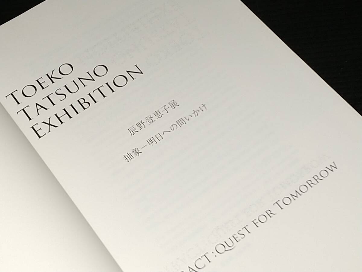 【図録/画集】フライヤー・略年譜付き「辰野登恵子展 -抽象 明日への問いかけ-」2011年 主催：資生堂/日本モダニズム/版画/貴重資料/希少_画像2