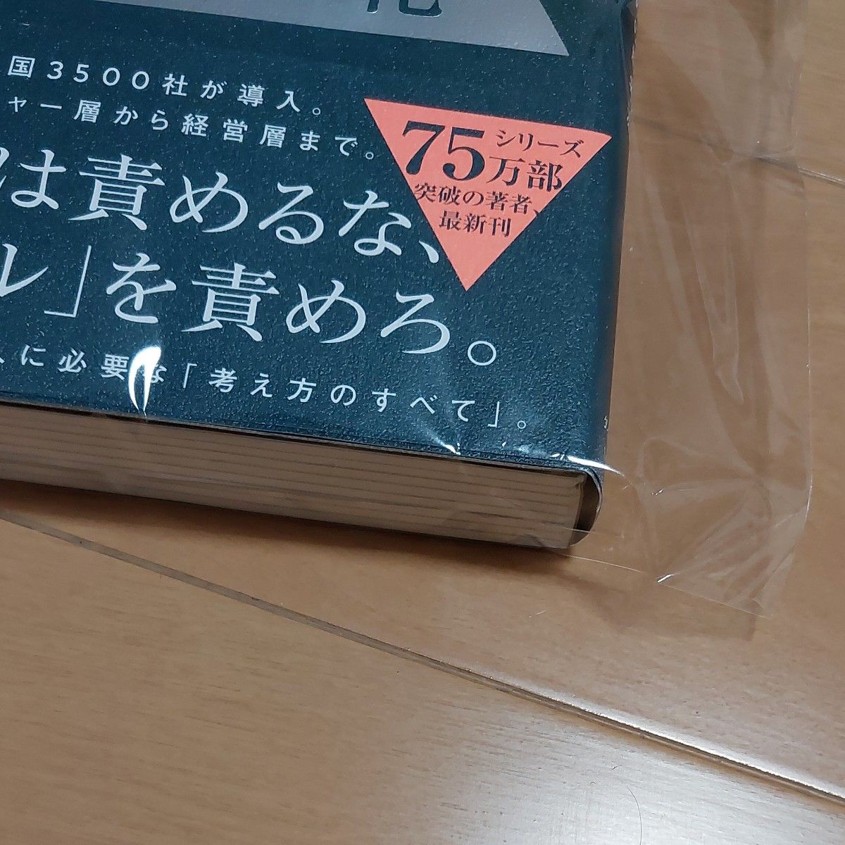 とにかく仕組み化　人の上に立ち続けるための思考法 安藤広大／著