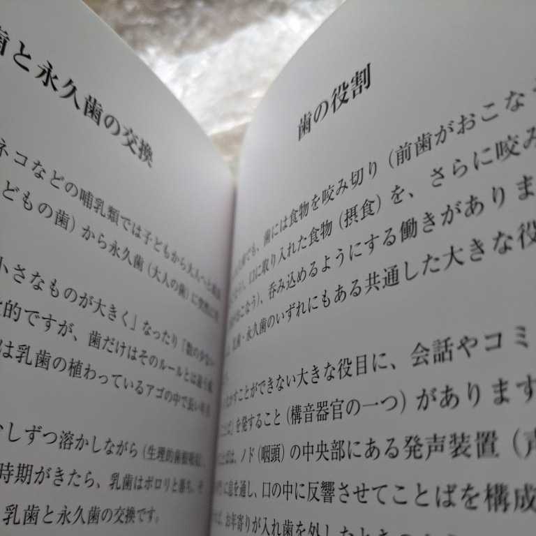 【即決】美品/未使用（オドント君の歯の旅) 24ページ 2200円相当　(有)医学情報社　㈱アイティアイ _画像5