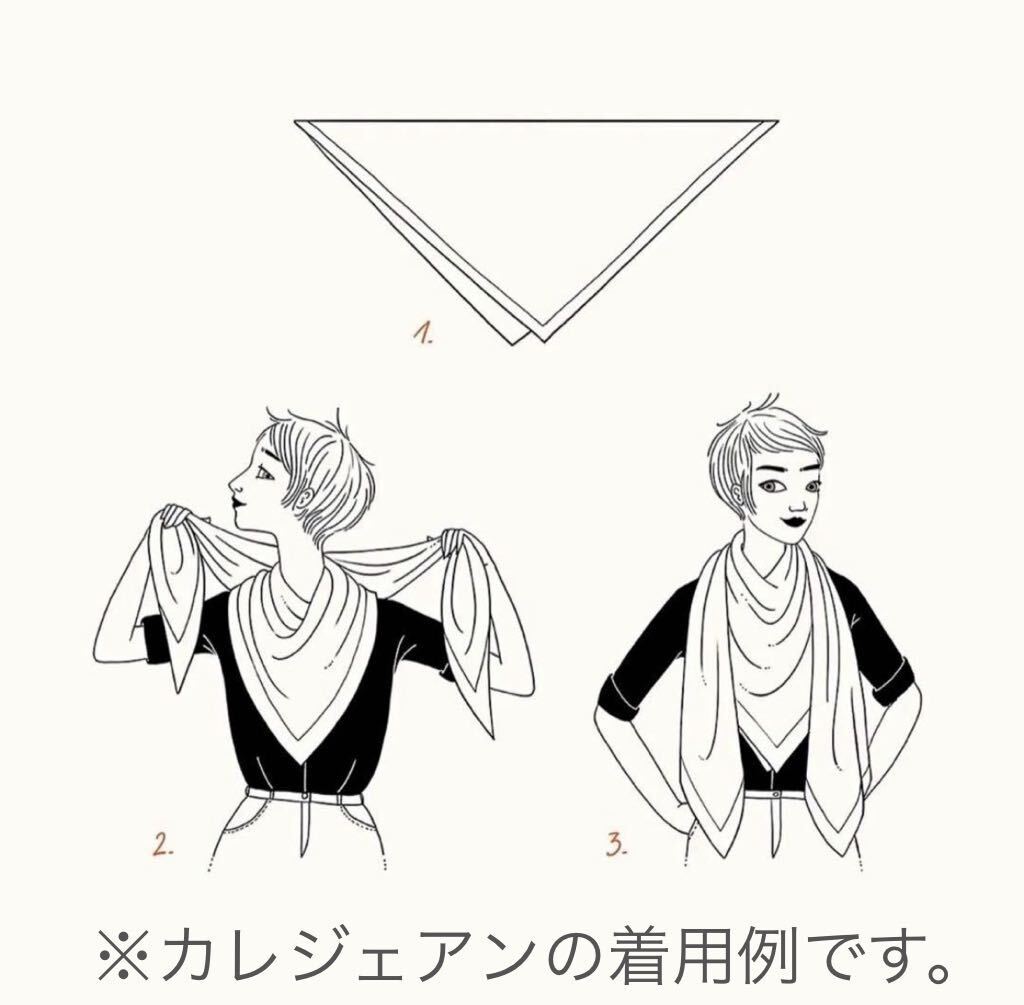 定価14 8万 完売希少 未使用 エルメス トライアングルジェアン 定価14 8万 完売希少 未使用 エルメス トライアングルジェアン