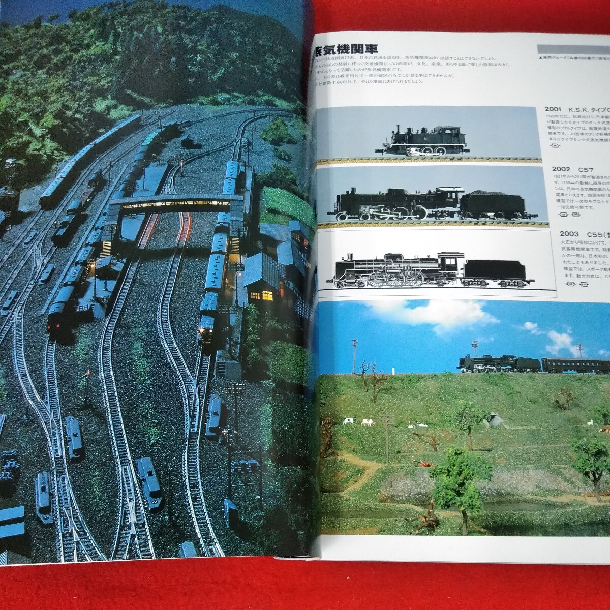 d-047　'81トミックス総合カタログ　Tomix 7005　鉄道そのものを楽しむNゲージ　ディーゼルカー※3 _画像3