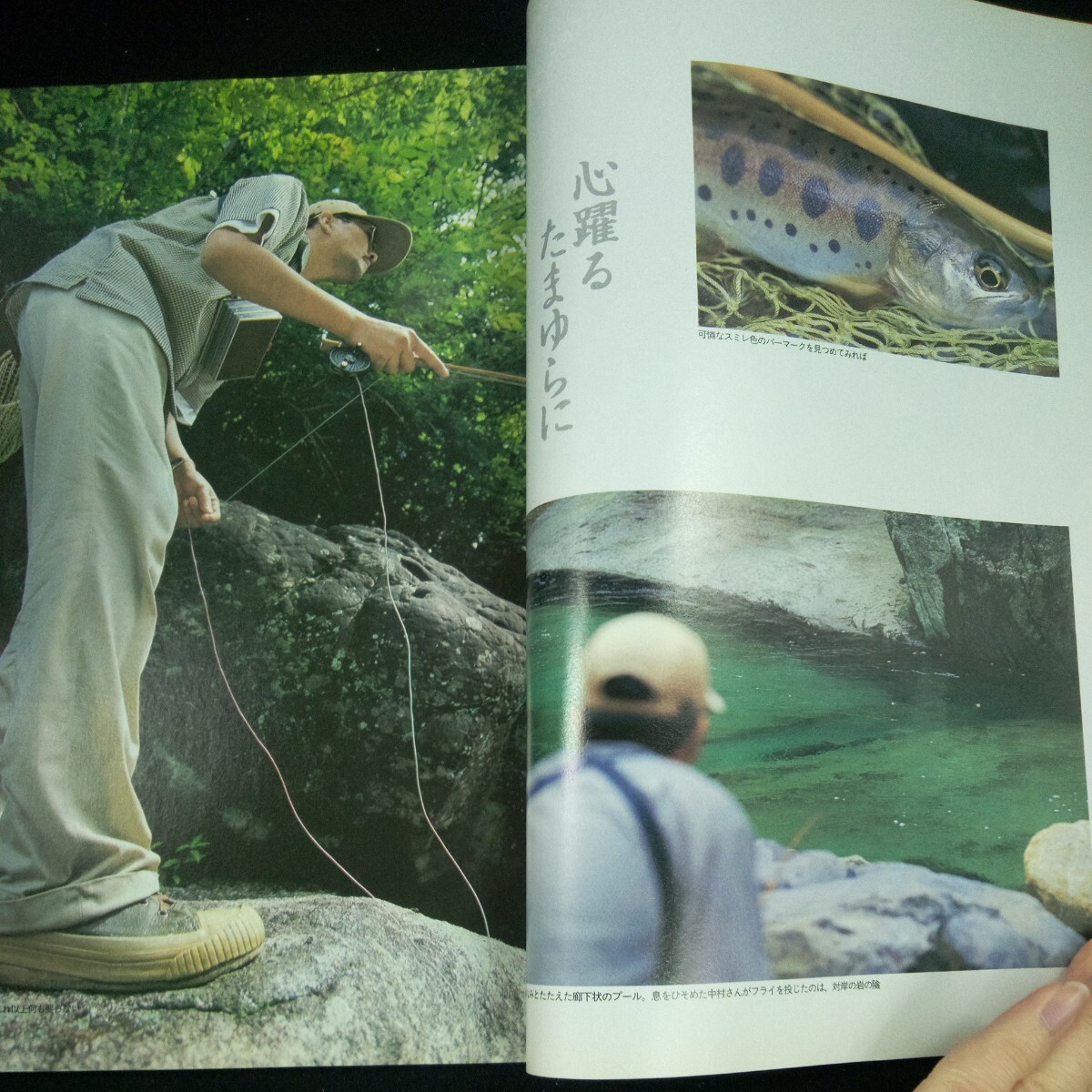 e-395 フライフィッシャー 1998年発行 10月号 [特集]ヘッドウォーター 北海道サケの川と海 マイクロテレストリアル つり人社※3 _画像6