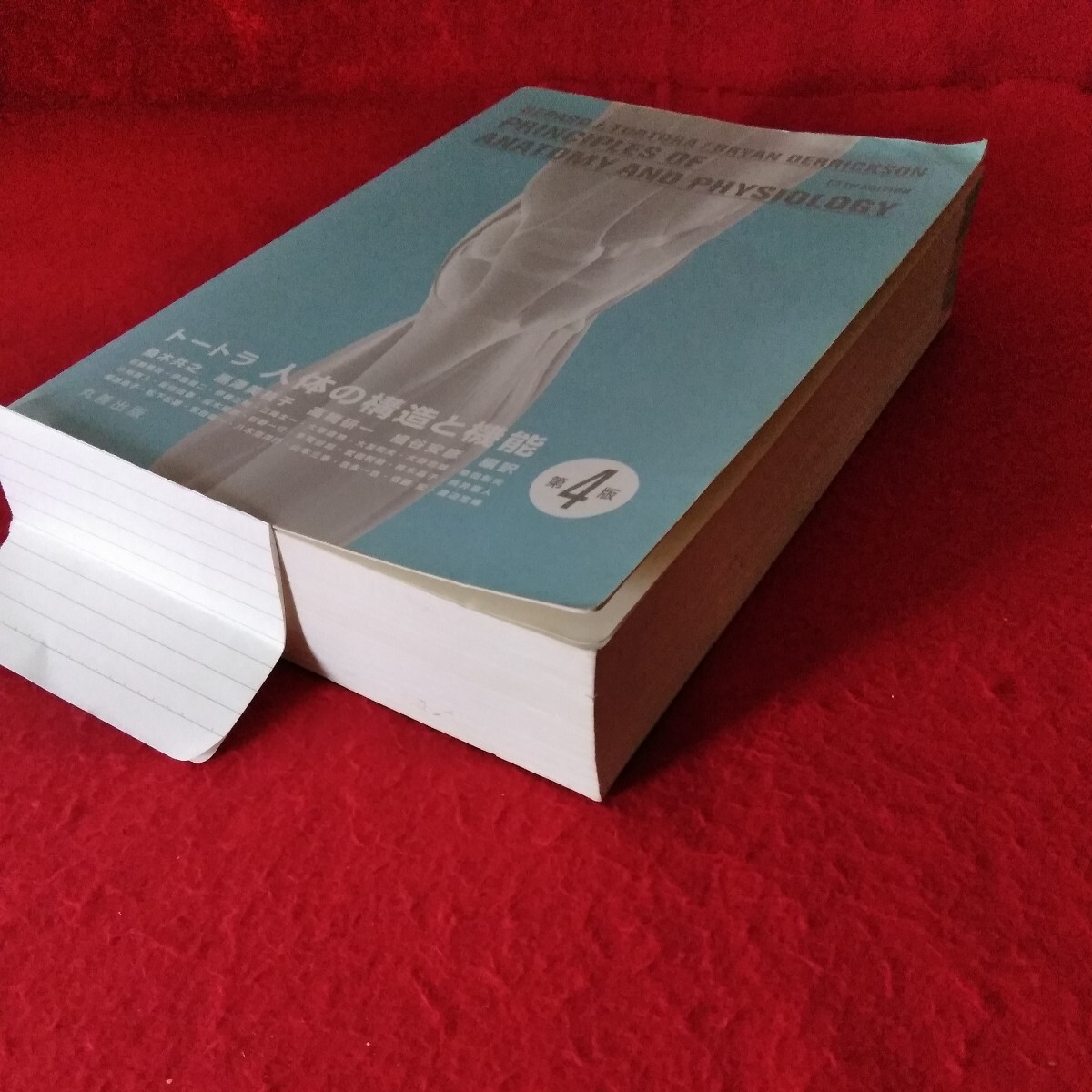 e-517　トートラ人体の構造と機能 第4版（原書13版）　平成27年2月15日第2刷発行　発行者/池田和博　発行/丸善出版 ※3 _下側に実名の書き込みあるため隠してます