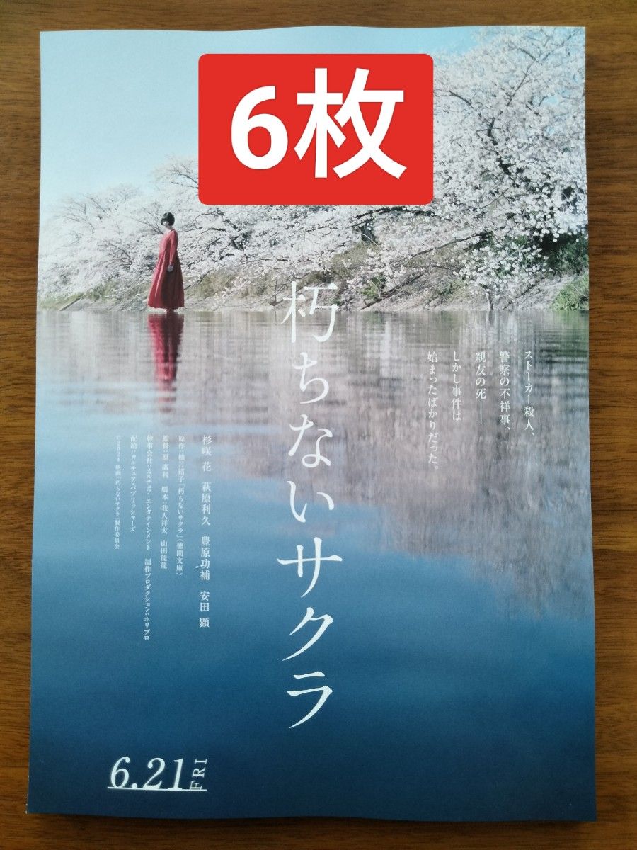 6枚　朽ちないサクラ　映画　フライヤー　チラシ杉咲花　萩原利久　安田顕　豊原功補