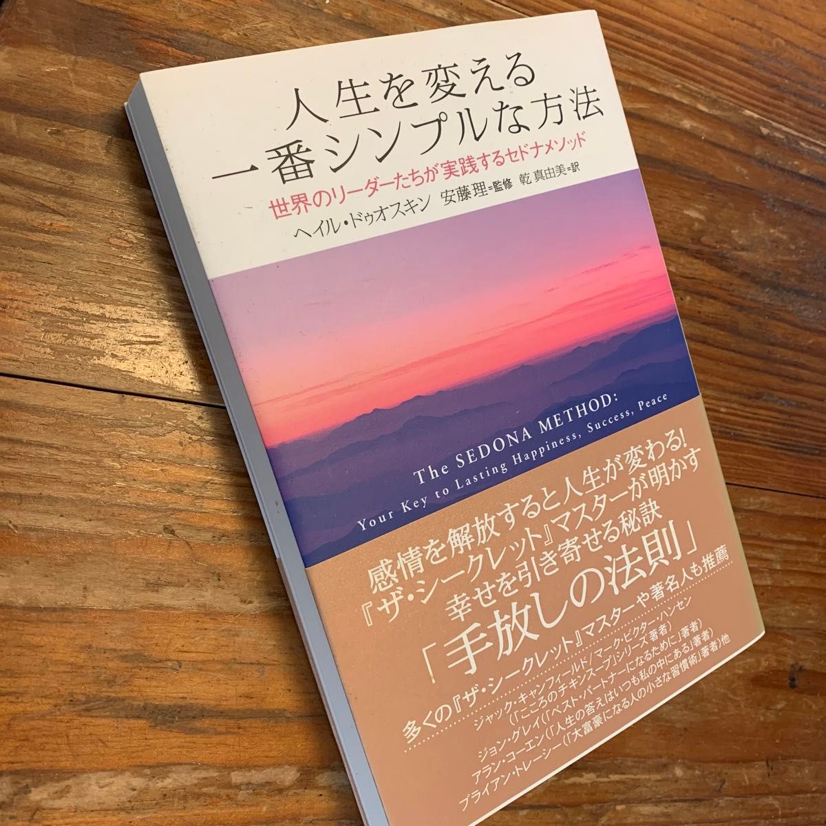 人生を変える一番シンプルな方法　世界のリーダーたちが実践するセドナメソッド ヘイル・ドゥオスキン／著　安藤理／監修　乾真由美／訳