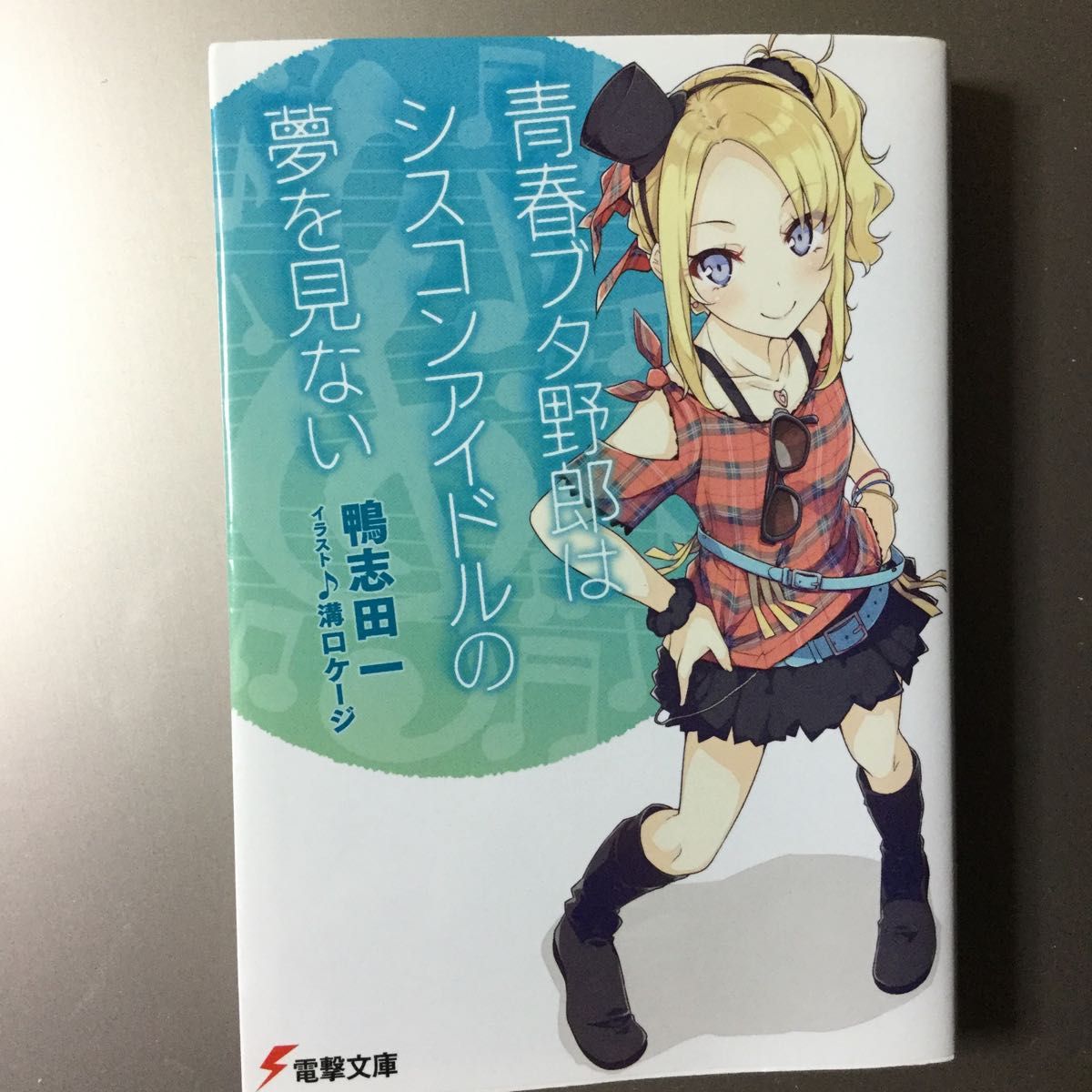 青春ブタ野郎はシスコンアイドルの夢を見ない （電撃文庫　２９３６） 鴨志田一／〔著〕