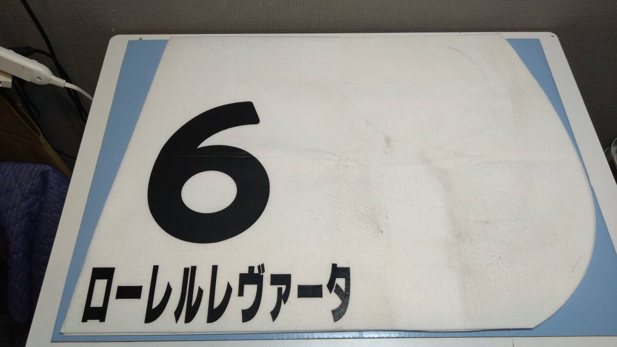 M50 【JRA レース実使用 ゼッケン】 ローレルレヴァータ 6番 2010年01月11日 京都6R 写真 冊子付 横約70㎝×縦約50㎝ 当時物/競馬/_画像4