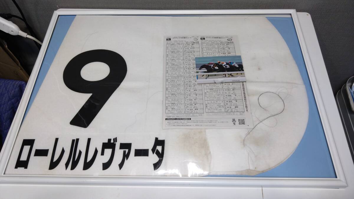 M59 【JRA レース実使用 ゼッケン】 ローレルレヴァータ 9番 2012年01月15日 京都4R 写真 冊子付 横約70㎝×縦約50㎝ 当時物/競馬/の画像1