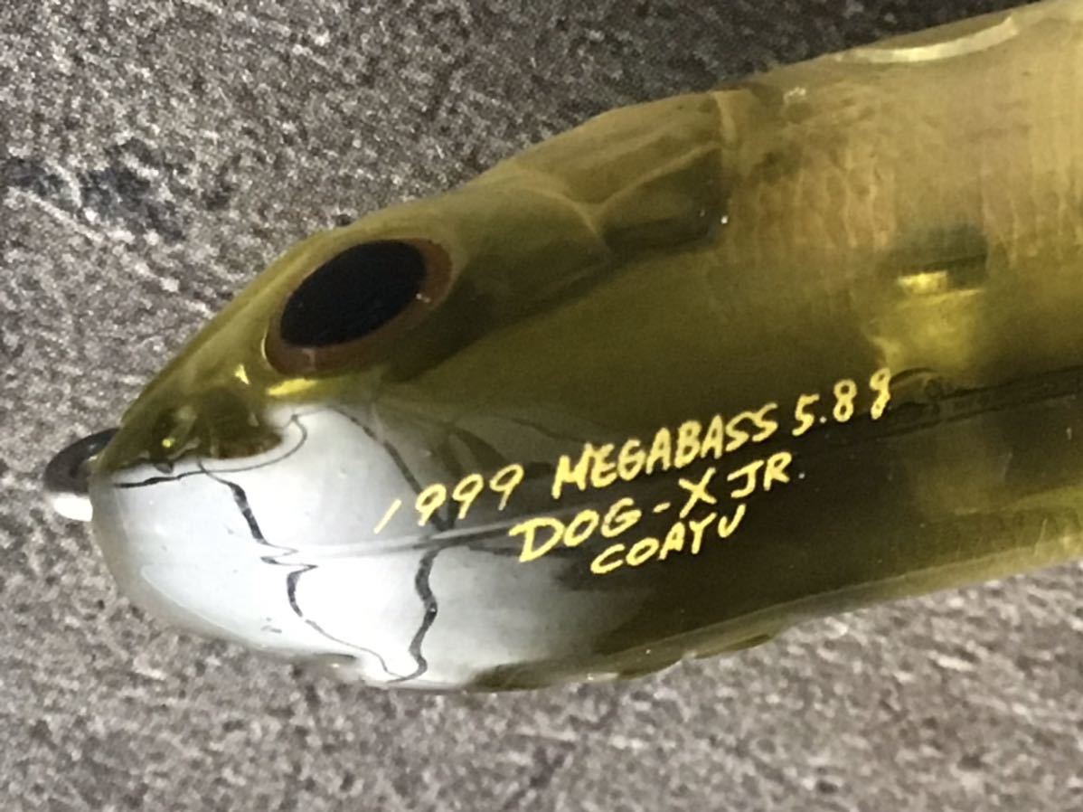 Megabass メガバス DOG-X JR COAYU ドッグエックス jr コアユ ドッグエックスジュニア_画像3