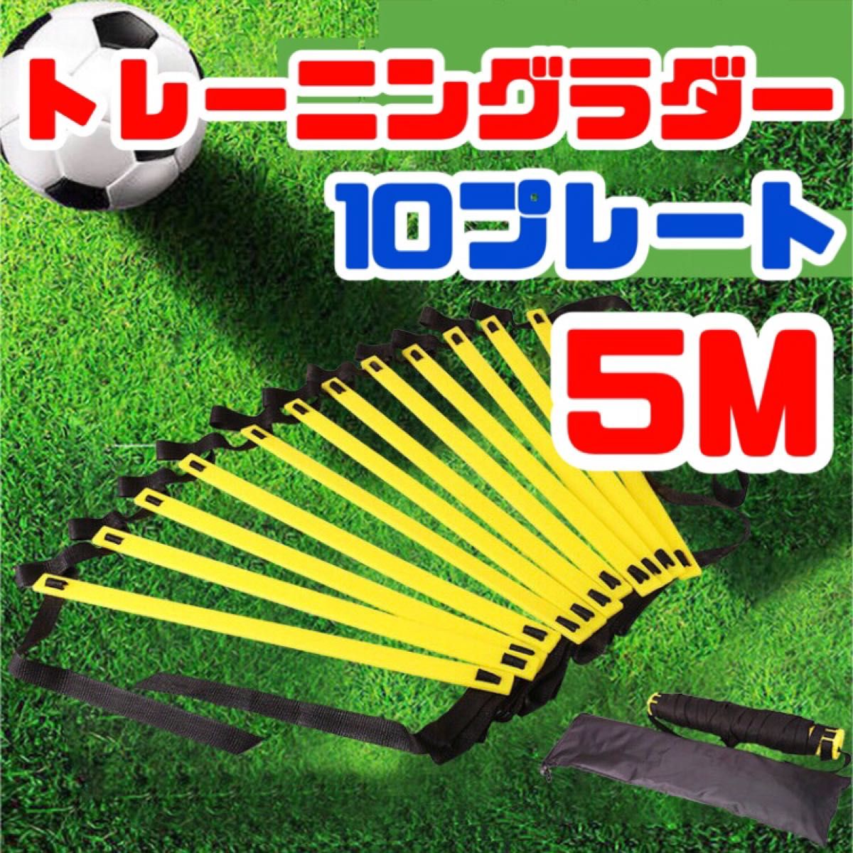 トレーニング ラダー 子供 サッカー  スポーツ 基礎 瞬発力 5m