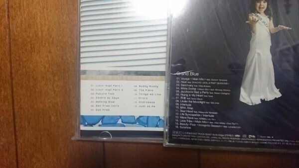 ★☆Ｓ06818 Jazztronik（ジャズトロニック）【Grand Blue】【SET FREE】 CDアルバムまとめて２枚セット☆★の画像2