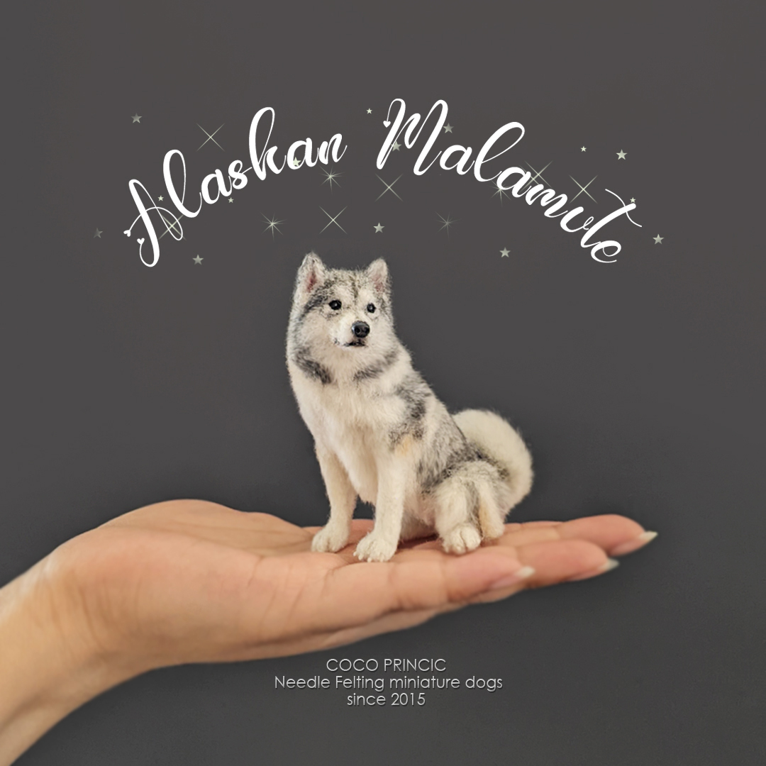 ミニチュア羊毛フェルト犬【8.0cmのアラスカン・マラミュート】1/12ドールハウス ブライスの愛犬にの画像6