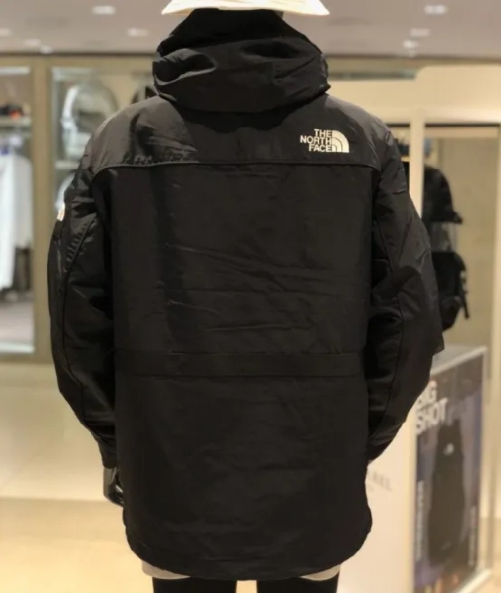 アノラック THE NORTH FACE ノースフェイス 新品 ナイロン Ｍ 海外限定 