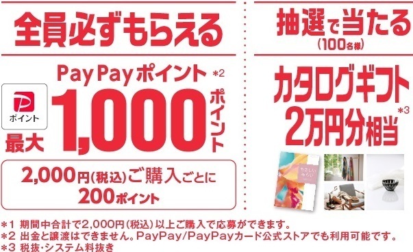 懸賞 応募券 ２口 ( PayPay 200p（必ず？） or カタログギフト２万円分（抽選）の画像1
