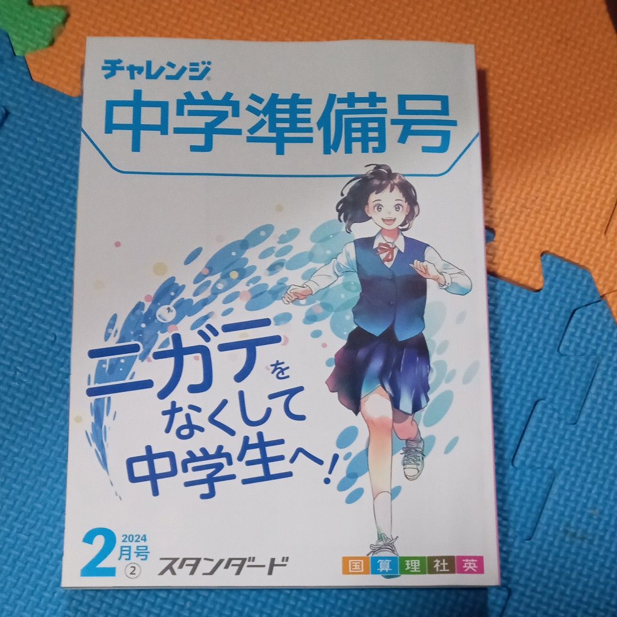 進研ゼミ 小学講座 チャレンジ 6年生 中学準備号 1月 2月 3月