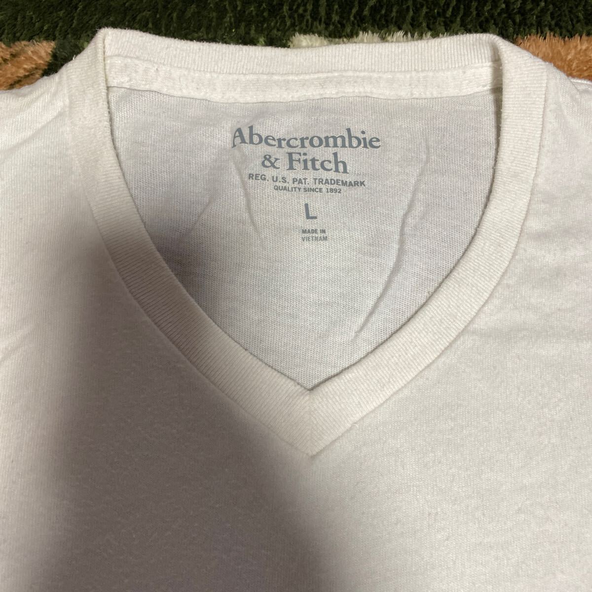 k87 Abercrombie&Fitch Tシャツ サイズL表記 ベトナム製_画像4