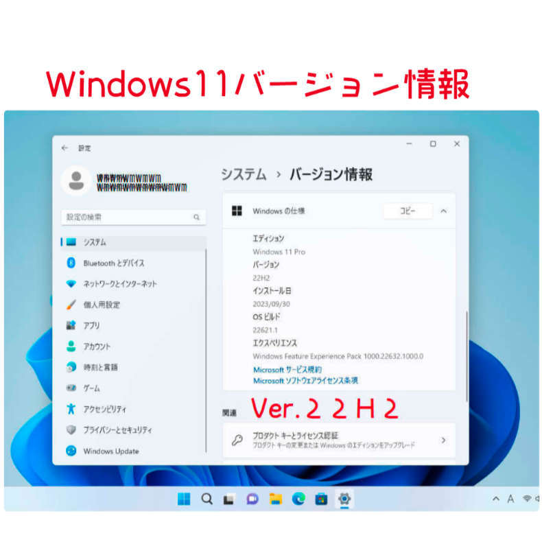Windows11 Ver22H2 クリーンインストール＆アップグレード両対応DVD 低年式パソコン対応 (64bit日本語版)_画像2