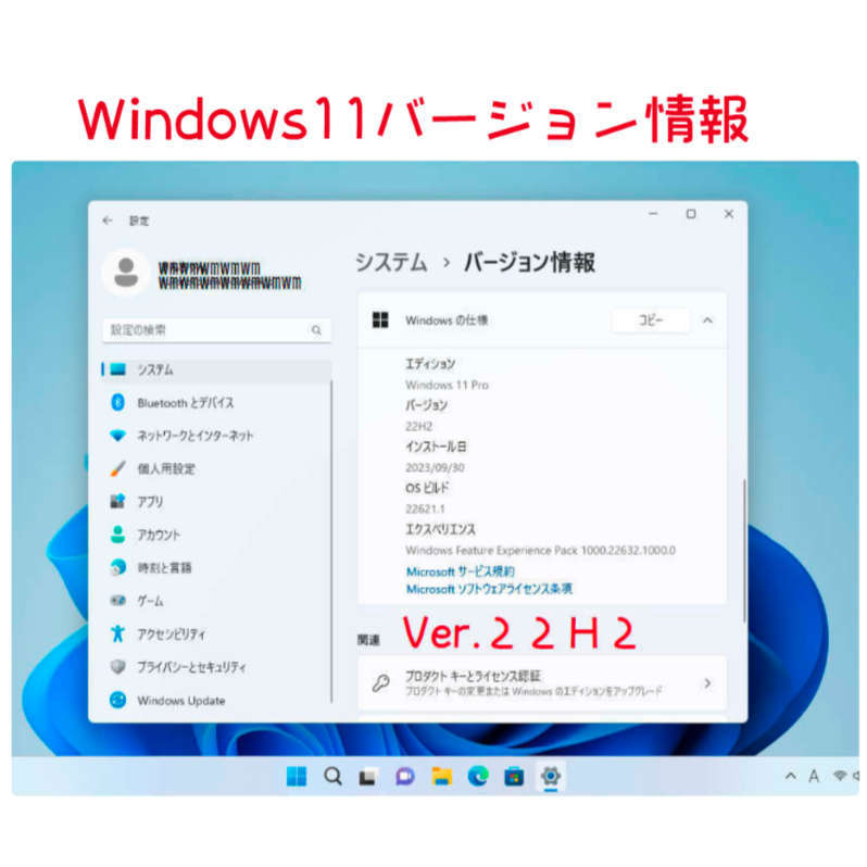 Windows11 Ver22H2 アップグレード専用DVD 低年式パソコン対応 (64bit日本語版)の画像2