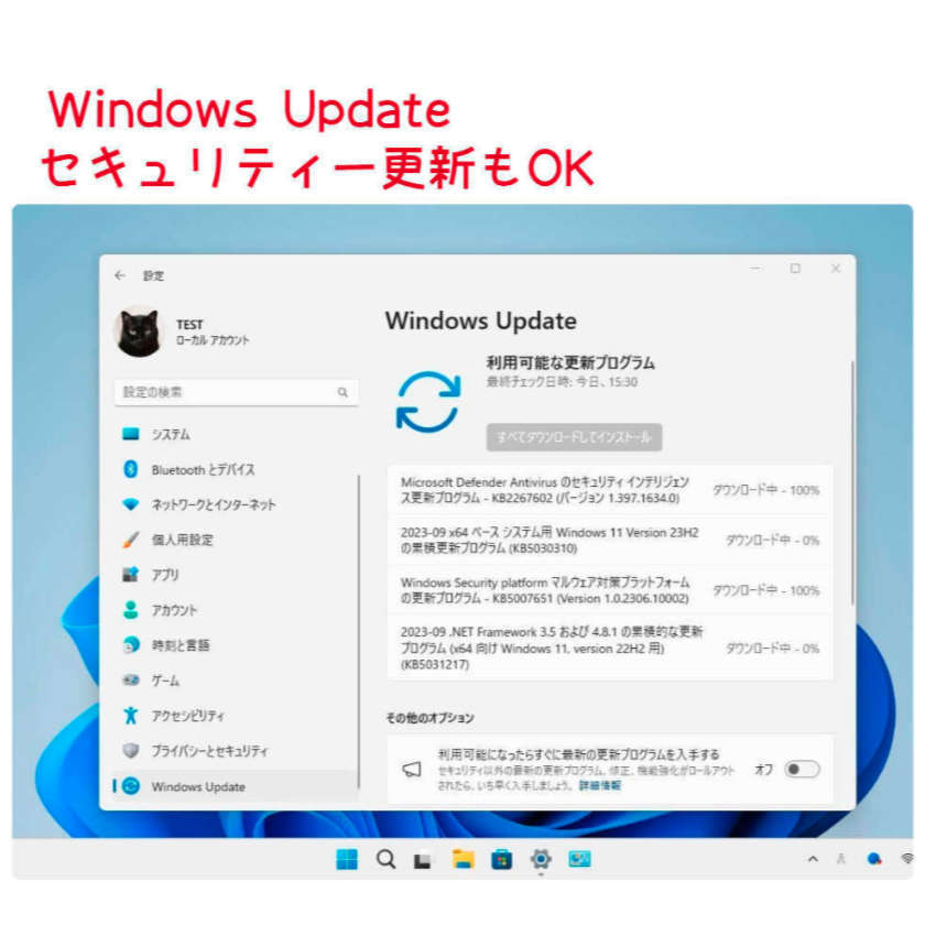 Windows11 最新Ver23H2 クリーンインストール用DVD 低年式パソコン対応 (64bit日本語版)の画像3