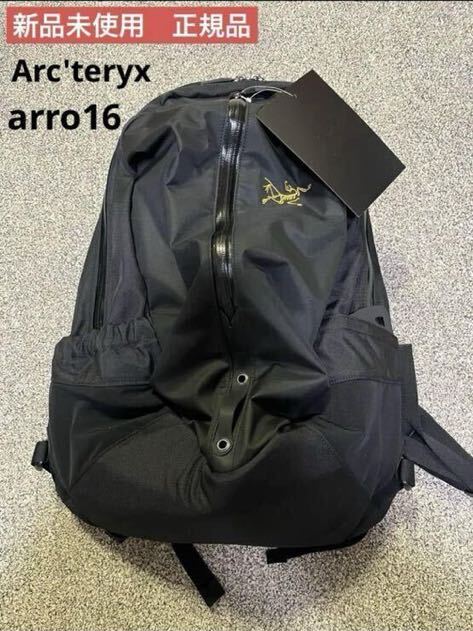 【新品未使用】　【正規取扱店購入品】　アークテリクス　ARC’TERYX アロー16 バックパック_画像1