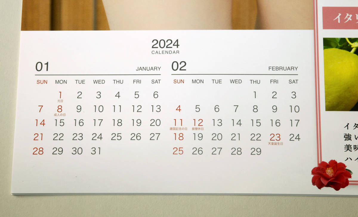  новый товар * 2024 год . вода фирма * высокий сауэр * настенный календарь * прекрасный . календарь *2 месяцев ..,6 листов .*. мир 6 год * размер длина 60.5cm× ширина 42cm