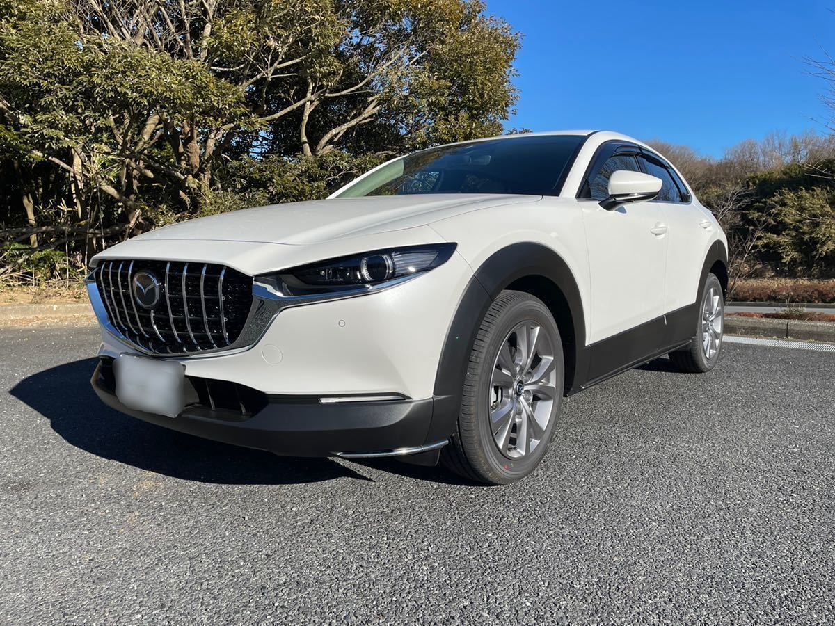 MAZDA CX-30 未使用品 バーチカルグリル 9本ライン 取付簡単 手作り品の画像2