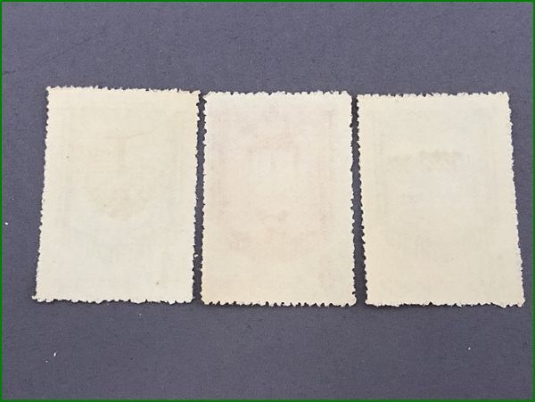 中国切手 紀45 五カ年計画超過完成 3種完 未使用 3セット_画像3