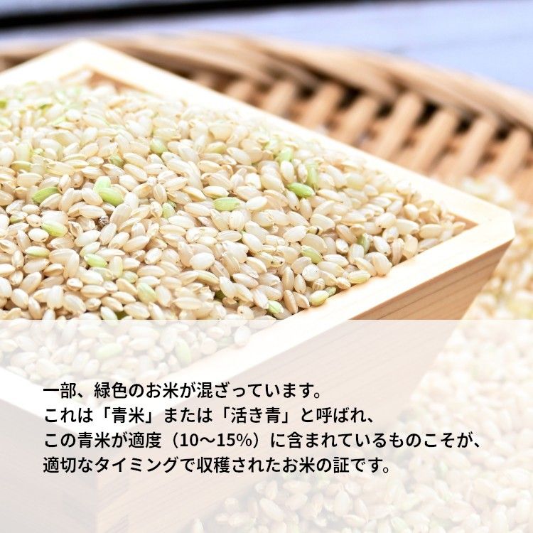 【R5】農薬不使用ミルキークイーン 玄米 5kg 岐阜県美濃加茂市産