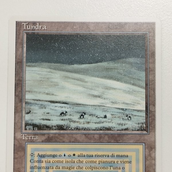 sA286s [人気] MTG Tundra 3ED リバイズド RV 土地 R レア デュアルランド イタリア語版の画像6