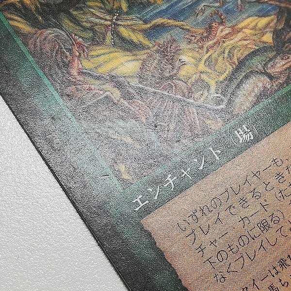 sB535o [人気] MTG 魔の魅惑 Aluren テンペスト TMP 日本語版 計2枚_画像7