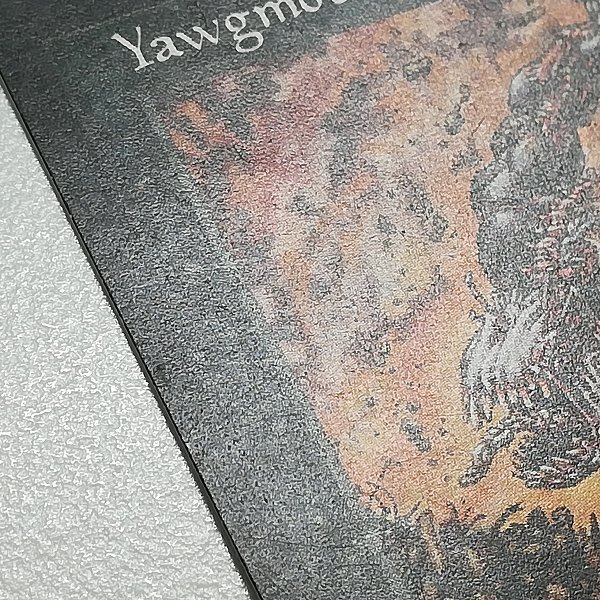 sA064o [人気] MTG ヨーグモスの意志 Yawgmoth's Will 浅すぎる墓穴 Shallow Grave 黒 レア R 計2枚の画像9